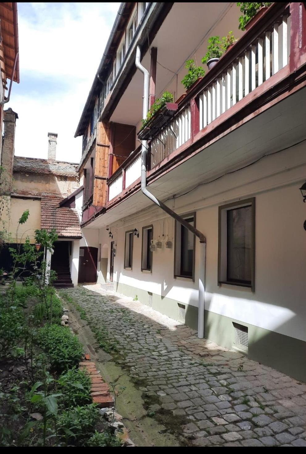 Kron Studio Kalista Brasov Bagian luar foto