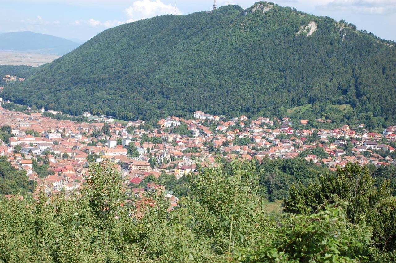Kron Studio Kalista Brasov Bagian luar foto